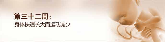 32周.jpg